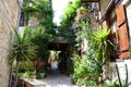 Narrow Greek Cyprus Street - Stone houses with loads of green plants Royalty Free Stock Photo