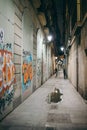 A narrow hallway with graffiti on the side of a building Royalty Free Stock Photo