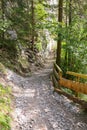 A narrow hiking path at Wolfsklamm Gorge, Austria