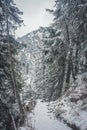 Narrow hiking trail down the hill Royalty Free Stock Photo