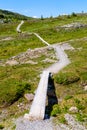 Narrow hiking trail in alpine nature