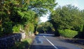 Narrow Irish Road