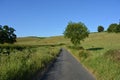 Narrow lane in the countryside, uk Royalty Free Stock Photo