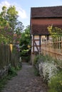 Narrow lane with garden fence