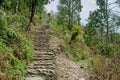 Narrow long trekking trail made of rocks in the forest at Mardi Himal trek