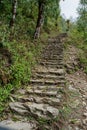 Narrow long trekking way made of rocks in the forest at Mardi Himal trek