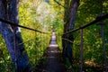 Narrow metal foot bridge across forest in autumn Royalty Free Stock Photo