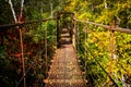 Narrow metal foot bridge across forest in autumn Royalty Free Stock Photo