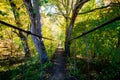 Narrow metal foot bridge across forest in autumn Royalty Free Stock Photo