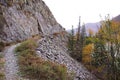 A narrow mountain path along the edge of the cliff surrounded by tall pine trees Royalty Free Stock Photo