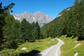Narrow mountain road, forest and Alps near S-Charl