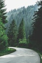 A narrow mountain road winding into dense dark green coniferous forest. A winding path among mountains and hills Royalty Free Stock Photo