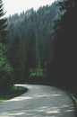 A narrow mountain road winding into dense dark green coniferous forest. A winding path among mountains and hills Royalty Free Stock Photo