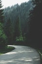 A narrow mountain road winding into dense dark green coniferous forest. A winding path among mountains and hills Royalty Free Stock Photo