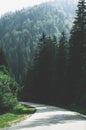 A narrow mountain road winding into dense dark green coniferous forest. A winding path among mountains and hills Royalty Free Stock Photo