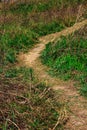 Narrow muddy road in a grass field.