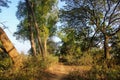 A narrow muddy trail through trees