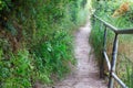 Narrow nature path with railing. Royalty Free Stock Photo