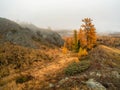 Narrow path on the slope of an beautiful autumn hill Royalty Free Stock Photo