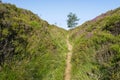 Narrow old drovers trail across Lawrence Field in Derbyshire Royalty Free Stock Photo