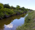 Narrow outlet of river between overgrown forest Royalty Free Stock Photo