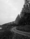 Autumn forest in Kharkiv. Narrow path. Black and white. Royalty Free Stock Photo