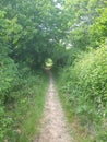 A narrow path in the English countryside Royalty Free Stock Photo