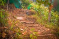 A narrow path leading uphill on a mountain Royalty Free Stock Photo