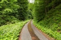 Narrow path lit by soft spring sunlight. Forest spring nature. Spring forest natural landscape with forest trees Royalty Free Stock Photo