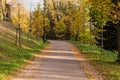 Narrow path lit by soft spring sunlight. Forest spring nature. Spring forest natural landscape with forest trees Royalty Free Stock Photo