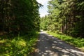 Narrow path lit by soft spring sunlight. Forest spring nature. Spring forest natural landscape with forest trees Royalty Free Stock Photo