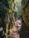 narrow path in the middle of high rocks in the dense forest Royalty Free Stock Photo