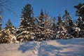 A narrow path in the middle of untouched snow