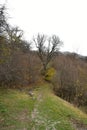 A narrow path in the mountains.