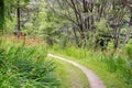 Narrow path surrounded by orange crocosmia flowers in the park