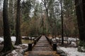 Narrow path surrounded by trees in Yosemite National Park, California, USA Royalty Free Stock Photo