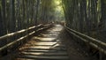 A narrow path winding through a dense bamboo forest. Royalty Free Stock Photo