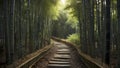 A narrow path winding through a dense bamboo forest. Royalty Free Stock Photo