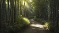 A narrow path winding through a dense bamboo forest. Royalty Free Stock Photo
