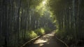 A narrow path winding through a dense bamboo forest. Royalty Free Stock Photo