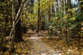 Narrow path in the Yosemite National park at California, USA Royalty Free Stock Photo