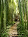 Narrow pathway through bamboo wood forest, generative ai Royalty Free Stock Photo