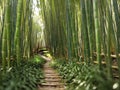 Narrow pathway through bamboo wood forest, generative ai Royalty Free Stock Photo