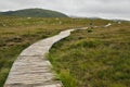 Narrow pathway in Connemara National Park in Ireland under a cloudy sky