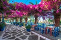 Narrow paved street full of colorful flowers in Sisi, Crete.