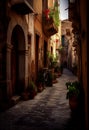 The Narrow, Potted-Plant-Lined Street of Bernie Andrea