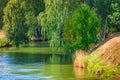 Narrow river and hanging green trees