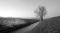 Narrow river with soft water flows in winter towards horizon in black and white