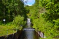 Narrow river between trees in middle of the forest of Loch Katrine, in Scotland Royalty Free Stock Photo