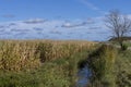 A narrow river that turns into a swampy area